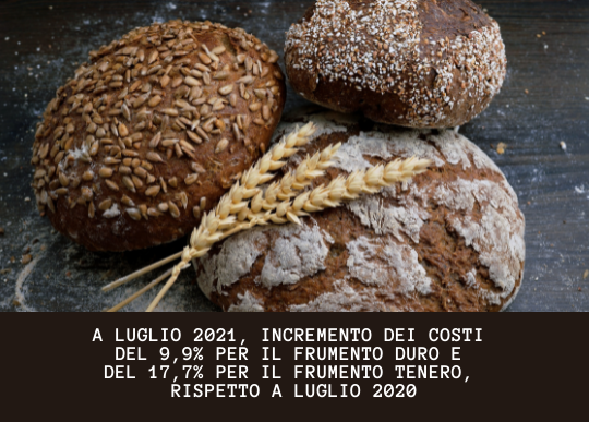aumento costi frumento luglio 2021.png